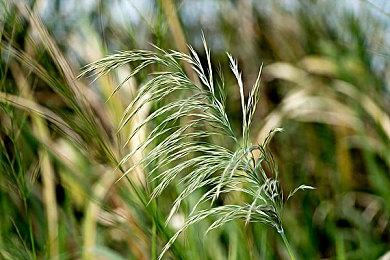 TGA2021：最佳无障碍设计创新游戏 《极限竞速：地平线5》